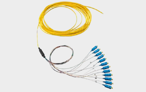 Belden (12).png