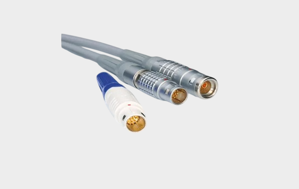 LEMO (8).png