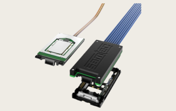 1765785195669503.png 13.png