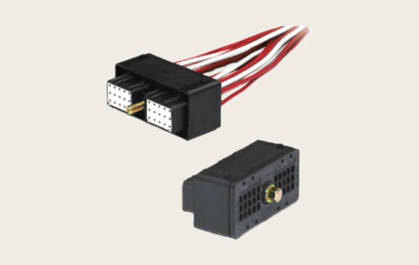 1769051630662561.png 12.png